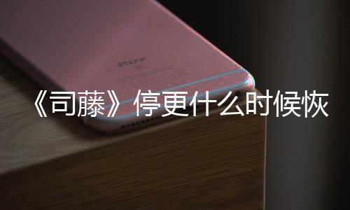 播出更新恢复 大藤停更结局揭秘司什么时候时间
