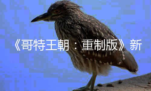 版报 你的新情恶行哥C会重制朝特王记得
