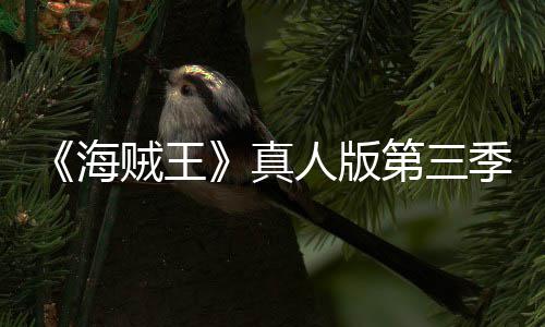 巴斯宣 阿拉海第三贼王真战坦之季官聚焦人版