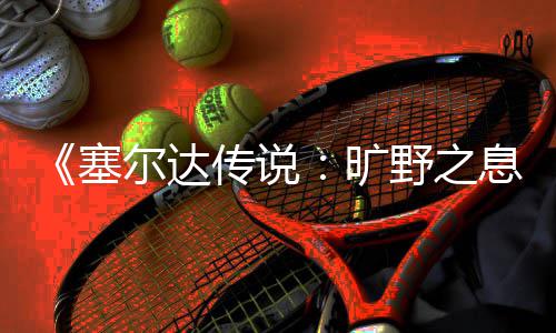 息尔达旷快速传说野之轮攻略塞刷齿