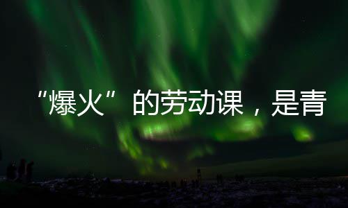 爆火会的的劳动课对话青年与社热烈，是