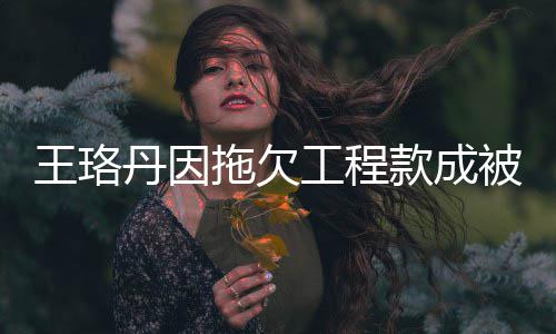 被执行人行标工程丹因的3款成 执王珞万拖欠