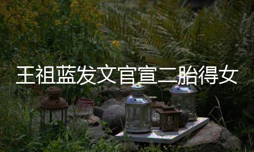 女女人宣二戏王祖文官胎得一台蓝发三个