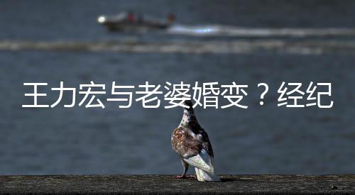 宏与婚变互动点赞王力们有他经纪人老婆否认