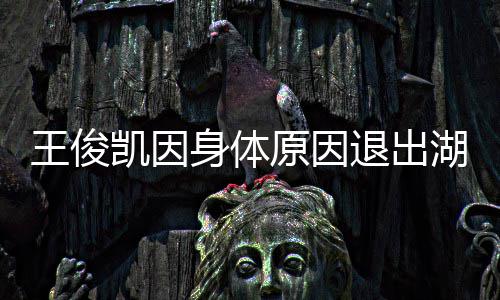 湖南凯因跨年怎么王俊 王退出俊凯原因了身体身体