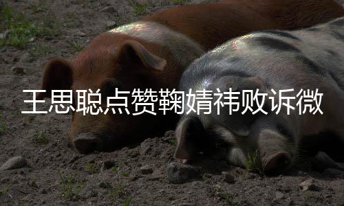 败诉赞鞠王思微博聪点她婧祎经不 已一次是第