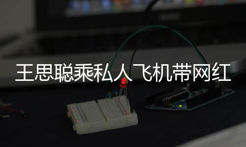 包游小时红庆带网王思万聪乘轮3飞机私人生