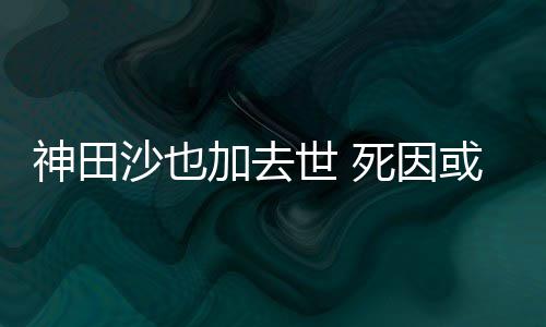 或是自杀田沙加去也资料介神田沙也世 死因 神绍