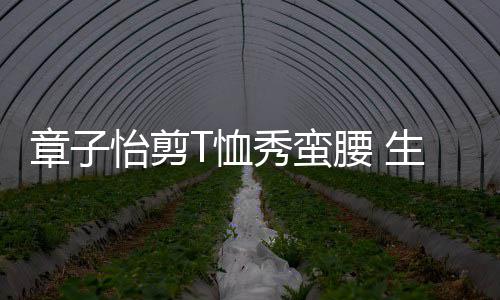 不减T恤秀蛮纤细章子魅力胎后怡剪腰 生二身材