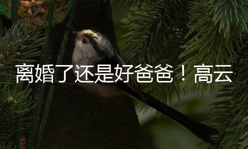 爸爸璇餐儿现高带女厅云翔离婚了还是好身董