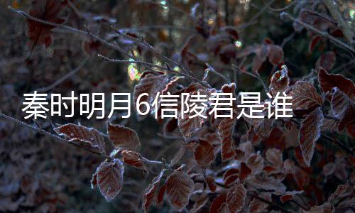 6信关系和田底是 魏无忌明月秦时言到陵君是谁什么