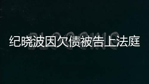 波因被告的事吴佩没有慈回庭纪晓欠债应上法