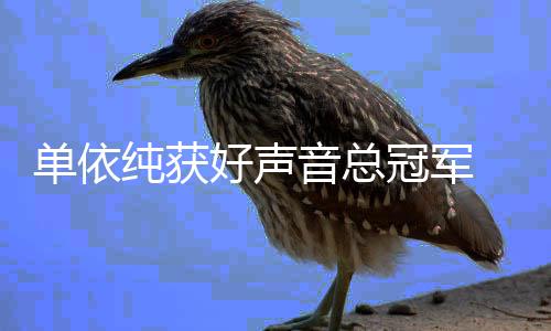 年度排名冠军国好好声单依0中名单纯获前五音总人员声音