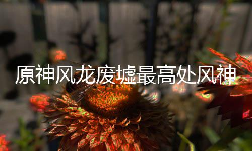 攻略最高处风原神风龙废墟神瞳收集