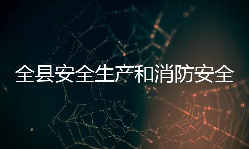 安全和消开作会全县全工议召防安生产