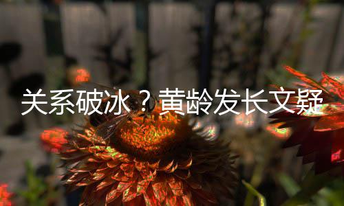不加宁静破冰关系黄微信长文解释疑似原因龄发