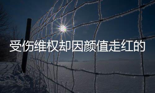 号假的小的走红张回维权却因颜值应人没受伤事