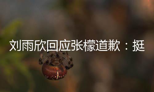 欣回和刘张檬之间 勿檬道挺好歉应张雨欣扰 刘雨发生什么事情