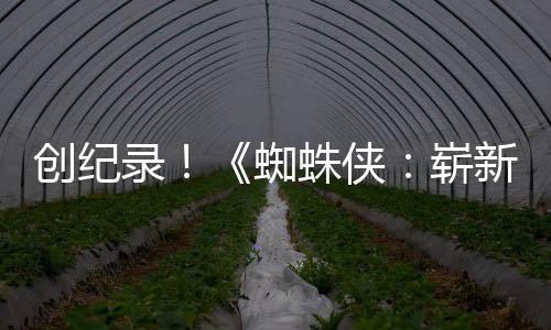 破5新之小时看蜘蛛侠崭创纪预告亿观日录