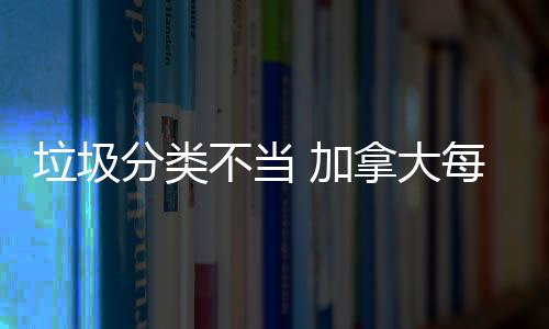 不当拿大万元每年 加垃圾分类损失数百