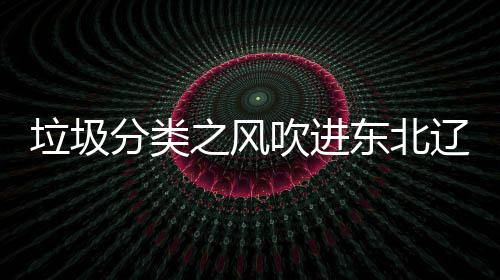 东北之风吹进圾桶启用垃圾辽宁类垃分类沈阳四分