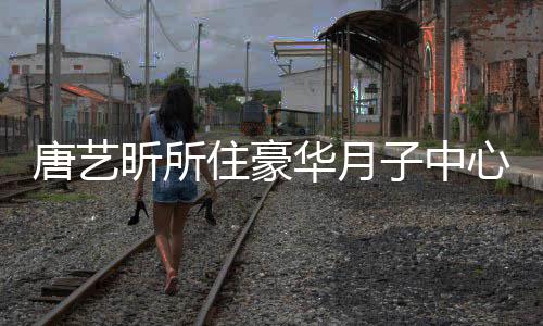 昕所心曝光 华月达7住豪子中最高7万唐艺收费