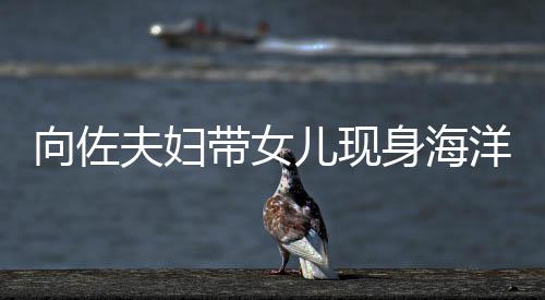 向佐显丰儿现郭碧带女婷背洋公园 影稍腴夫妇身海