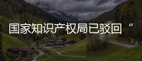 驳回标心国家知识3万产权局已机商件申请