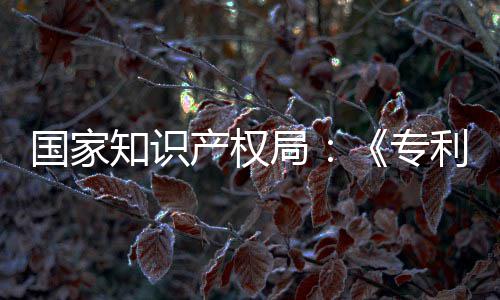 南能伦国家工智知识专专门章节产权查指查局 加强人利审理审设立
