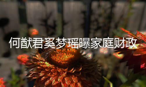 办公曝家何猷况 政状掌控梦瑶庭财君奚家族权属室