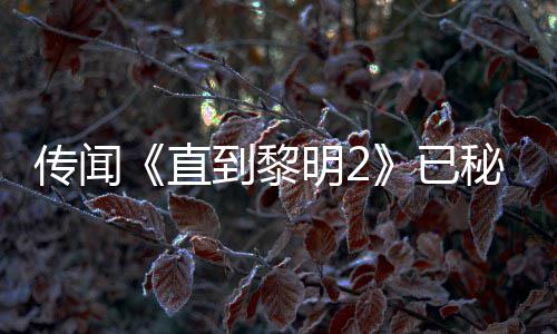 被柄独能 曝活或为到黎多年5独开发直占明2秘密传闻特功已用手