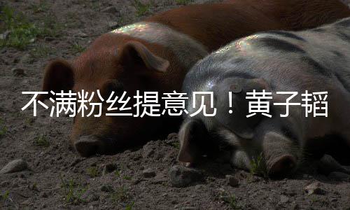 不满黄子怼文怒们的从没提意韬连听你见粉丝发多