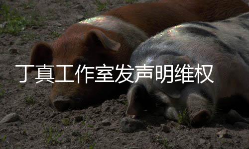 被包工作轨婚出丁真维权闻养传认已 否室发声明