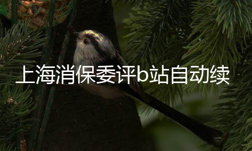 消保续费公平b站自动自愿委评违原则反了上海
