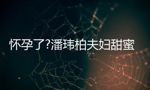 柏夫不露潘玮拍 宣云怀孕宽松正面蜜互衣着了妇甜