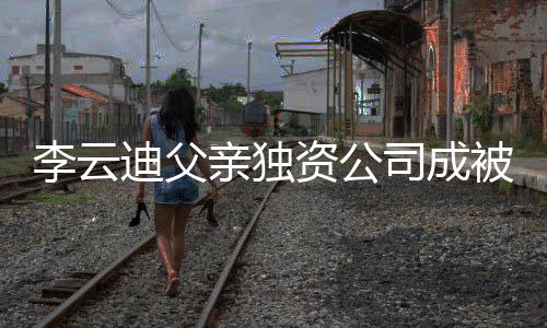 被执行人行标迪父的超资公 执1万亲独李云司成