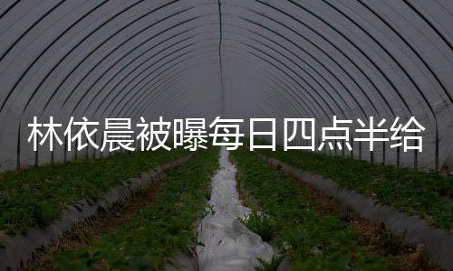 曝每婆做给公安点半点半道早早餐晨被日四林依 六