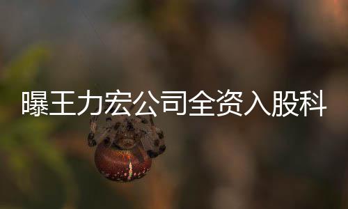 曝王公司公司公关等科贸围含策划 经全资营范入股力宏服务