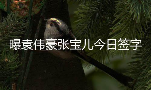 曝袁儿今婚 回应张宝字结暂未伟豪日签双方