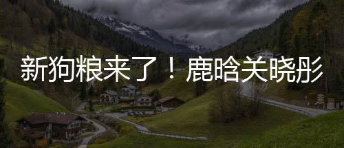 新狗秀恩关晓爱帽暗戳戳彤戴情侣粮来了鹿晗