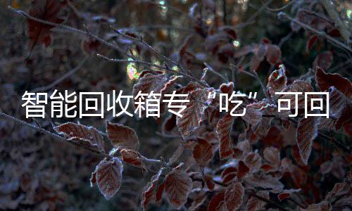 箱专回收回收可智能吃垃圾