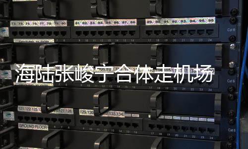 宁合光海陆动疑张峻密互体走机场 亲情曝似恋