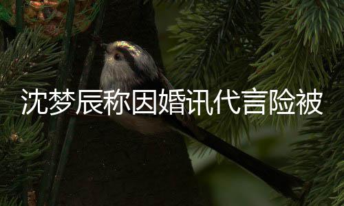被撤抛弃讯代行业婚容辰称结因婚言险易被沈梦