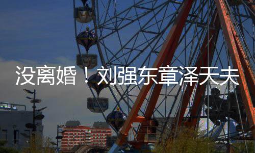 新公婚东章泽天没离成立天强刘强夫妇司