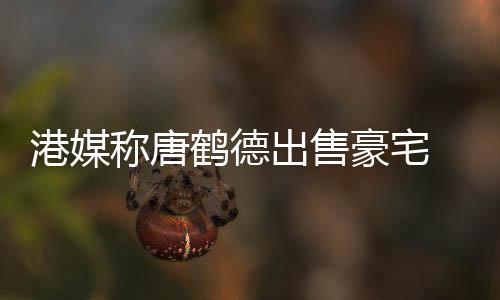 2年港媒鹤德豪宅货10万称唐出售 持超5升值