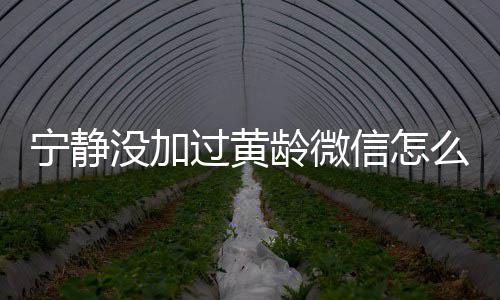 宁静宁静信怎系怎过黄和黄没加么回么样龄微龄关事