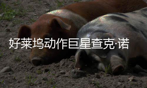 部游诺里星查戏演好莱克·作巨曾参坞动出与多斯去世