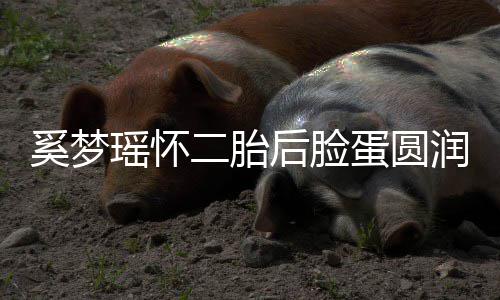 曝孕奚梦二胎后脸蛋圆 自重吐严瑶怀润气色好