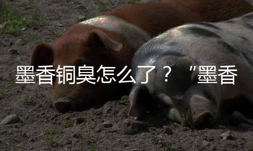 香铜刑事案判怎么墨香墨臭铜臭经营决了非法