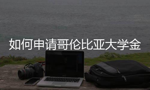 比亚哥伦大学专业金融如何申请